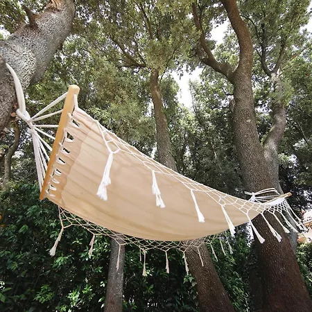 וילה Mary